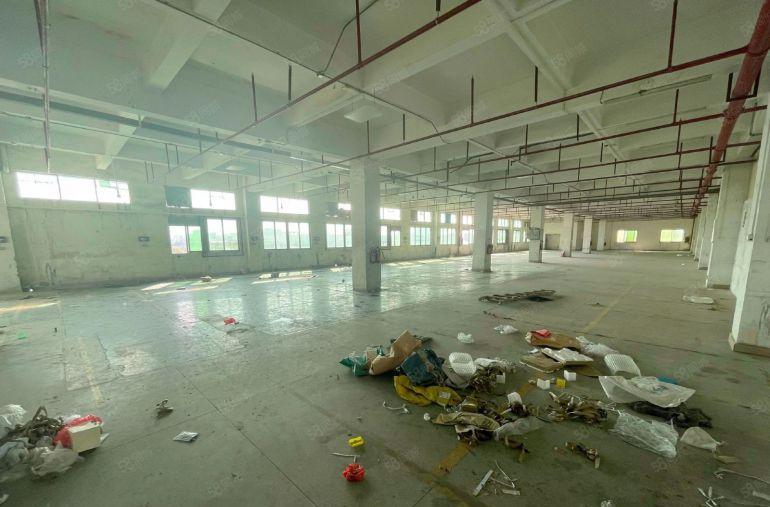 万江莫屋三楼1200平方厂房出租水电齐全现成办公室院子空地大