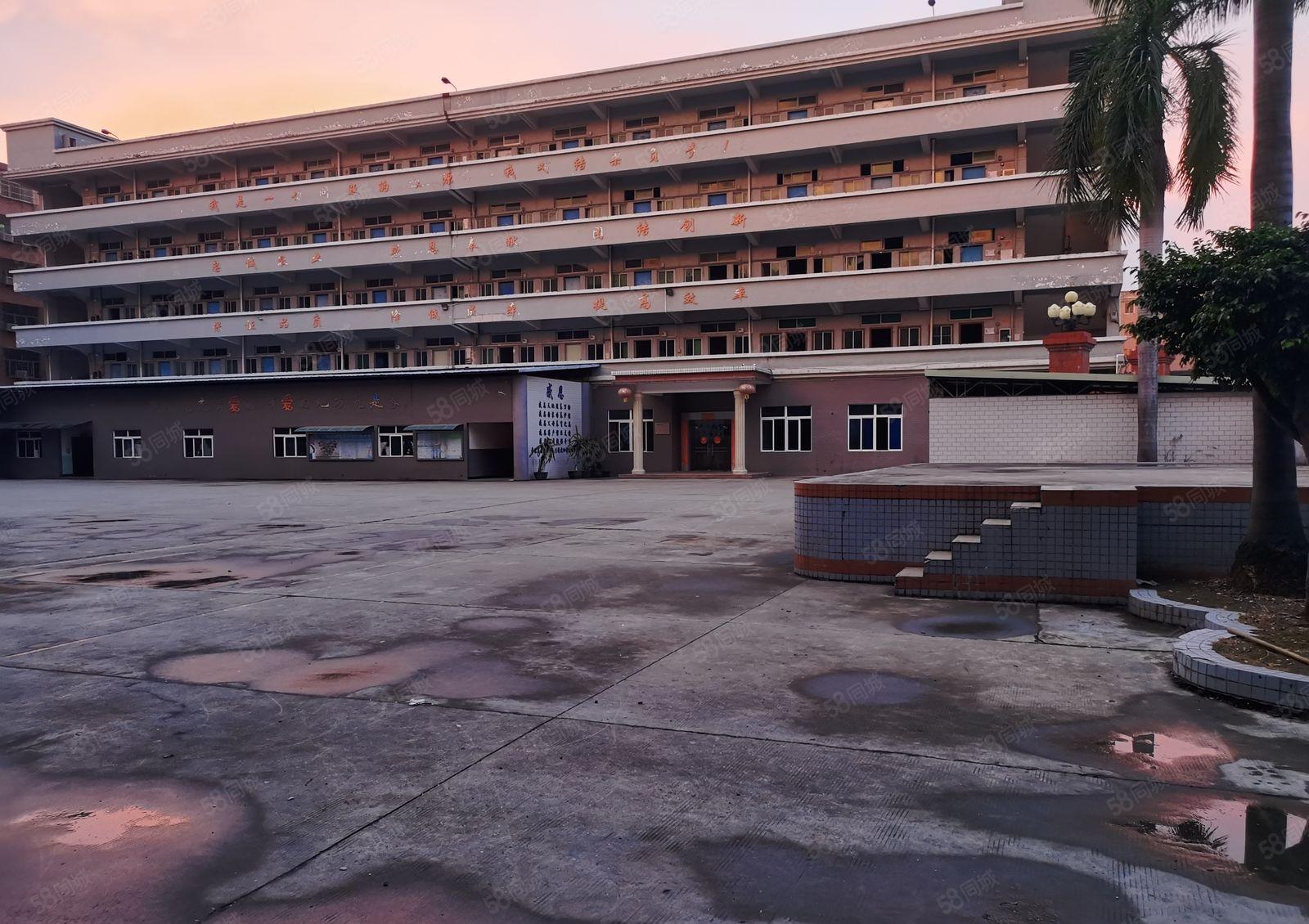 万江水蛇涌工业区新出独门独院标准厂房9835平方