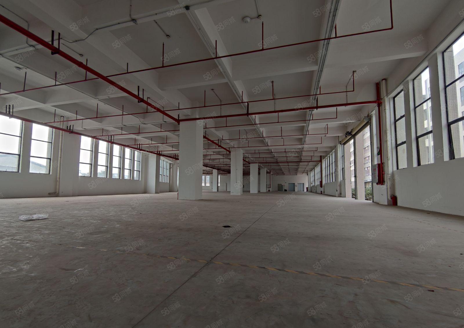 万江环城路外精装修独院红本标准厂房出租16500平米空地大