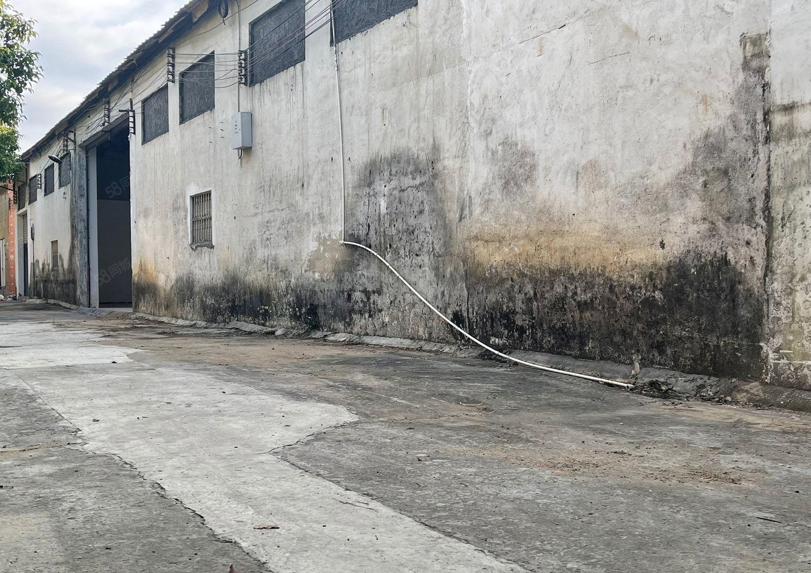 万江严屋单一层1100平方厂房出租水电齐全院子大靠近环城路