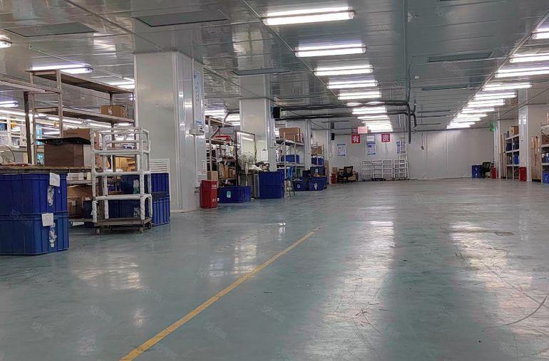 简沙洲新出1600平米标准一楼厂房招租