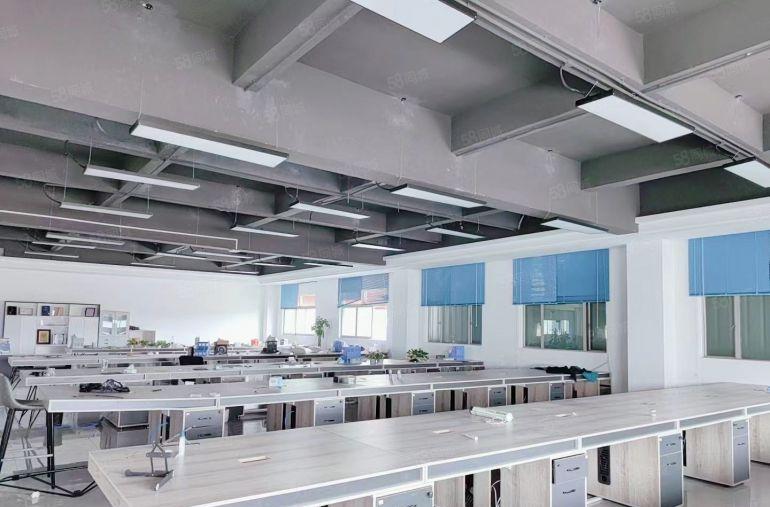 万江标准厂房1300平招租