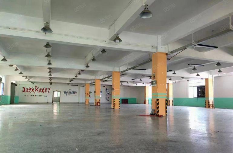 万江独院全新地坪漆1250平8.8元出租，空地大，交通好！