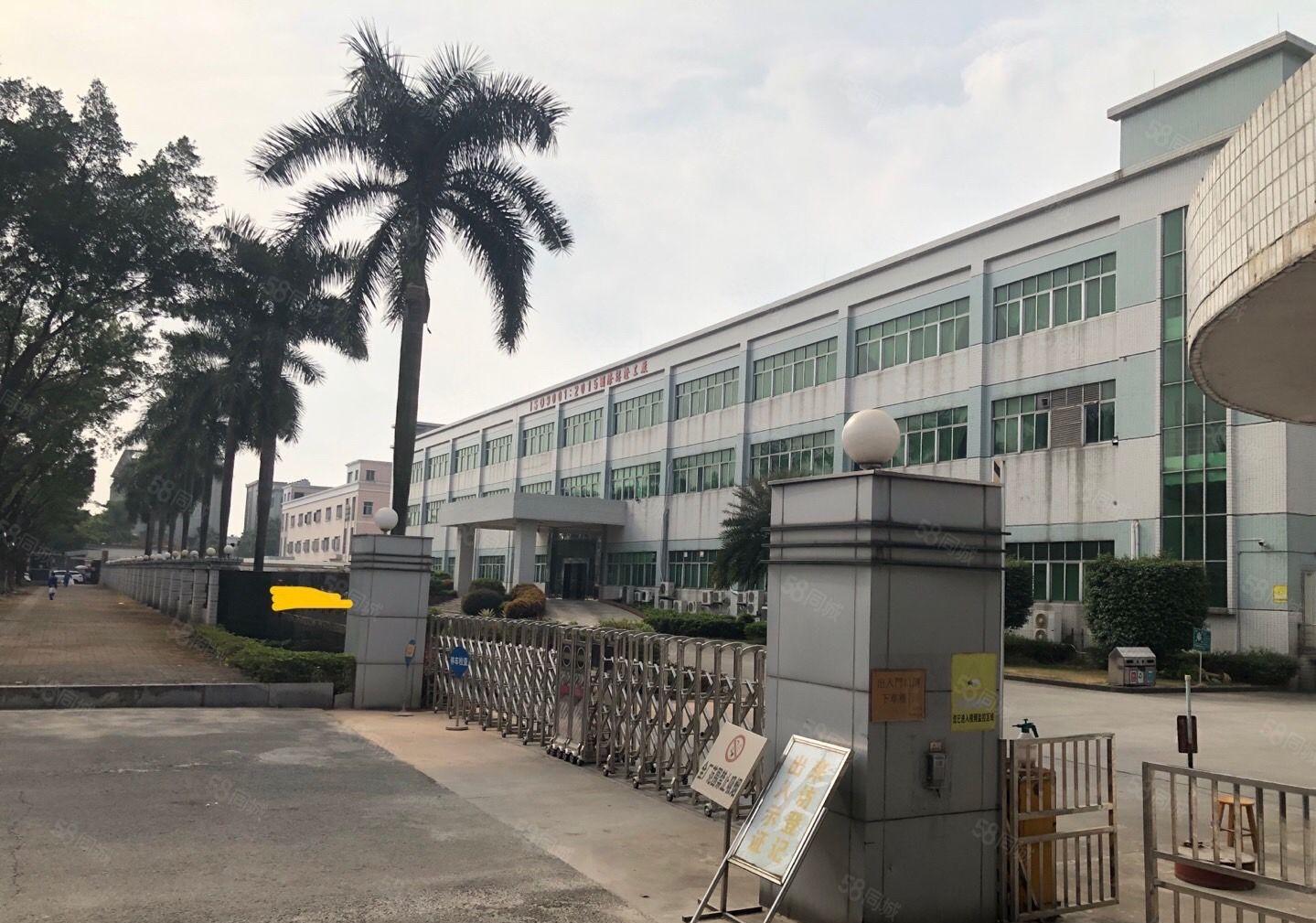 万江石美独门独院标准厂房三层18000平大小可分租