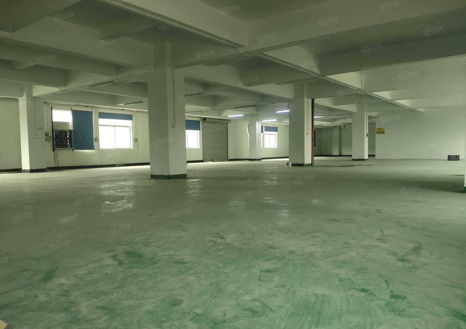 樟木头标准厂房1200平方，带现成办公室装修，主线到位。