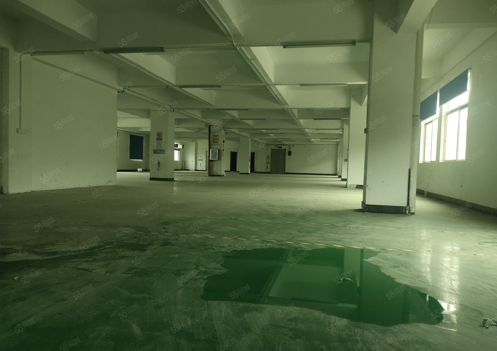 樟木头标准厂房1200平方，带现成办公室装修，主线到位。