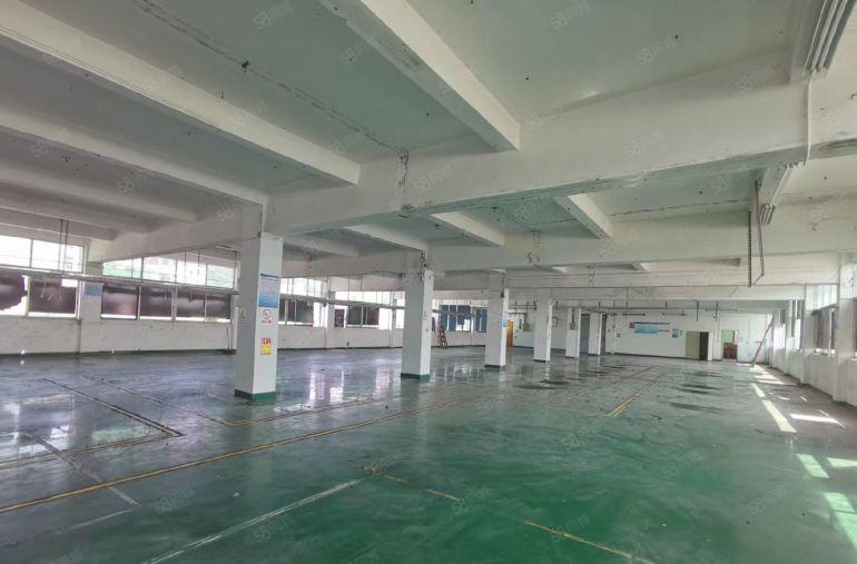 樟木头中心附近新空出一楼楼上各1000平方带办公装修低价便宜