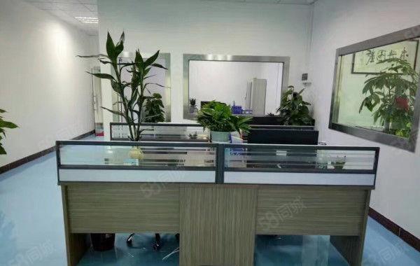 黄江镇中心新出楼上带无尘车间整层厂房1350平米