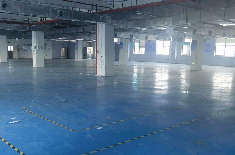 12元一楼，樟木头原房东厂房出租1500，600带环评可电池