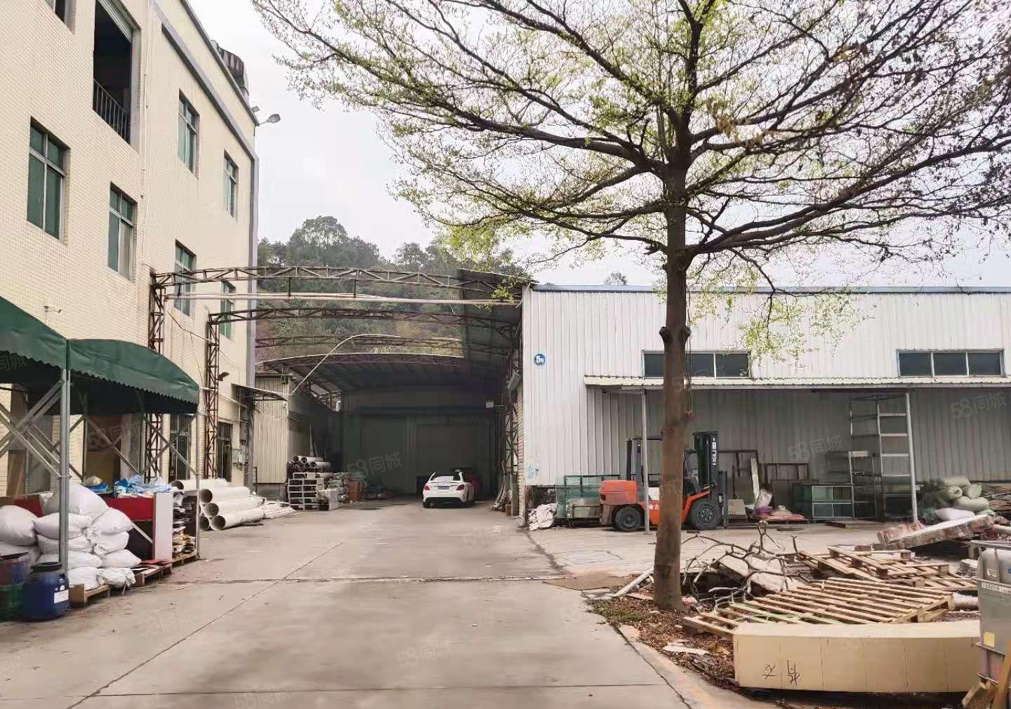 樟木头原房东厂房，2100平方，实际面积