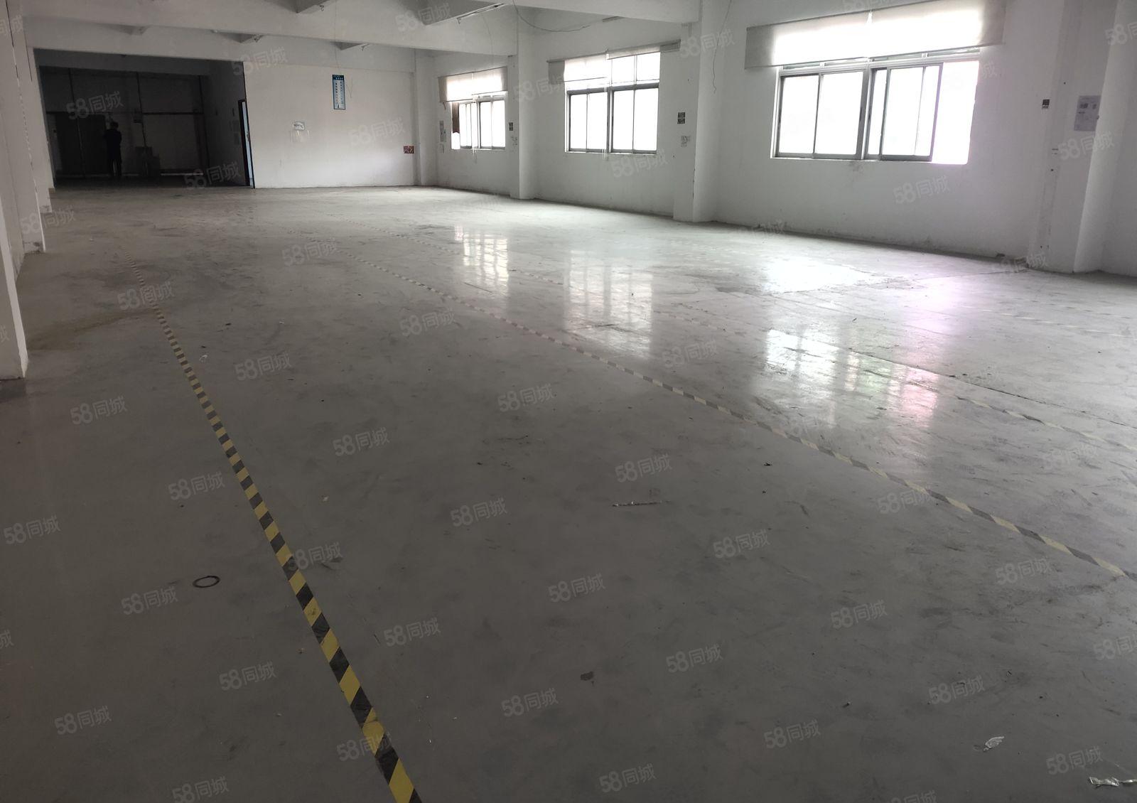 樟木头金河标准楼上厂房750平方，带现成办公室，主线到车间。