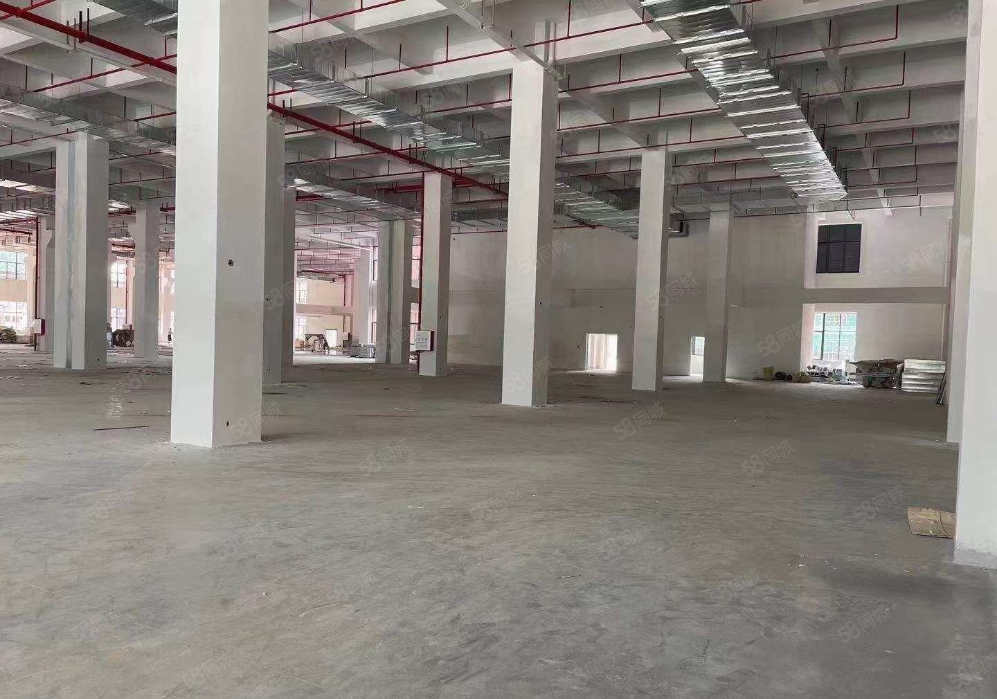 原房东急租 东莞樟洋区1280平方标准厂房 精装修 价格低