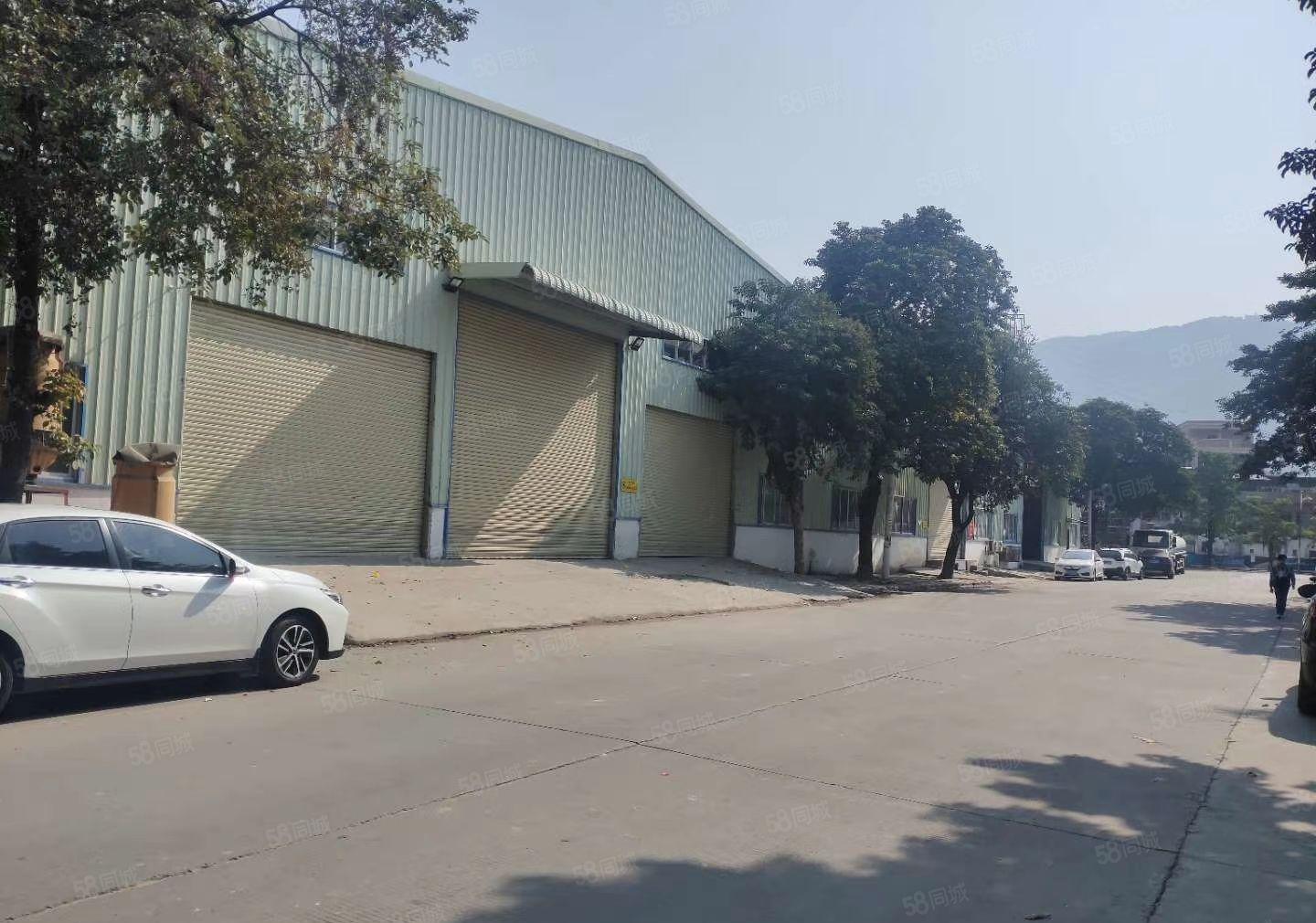 樟木头金河全新厂房4600平方，高度8.5米