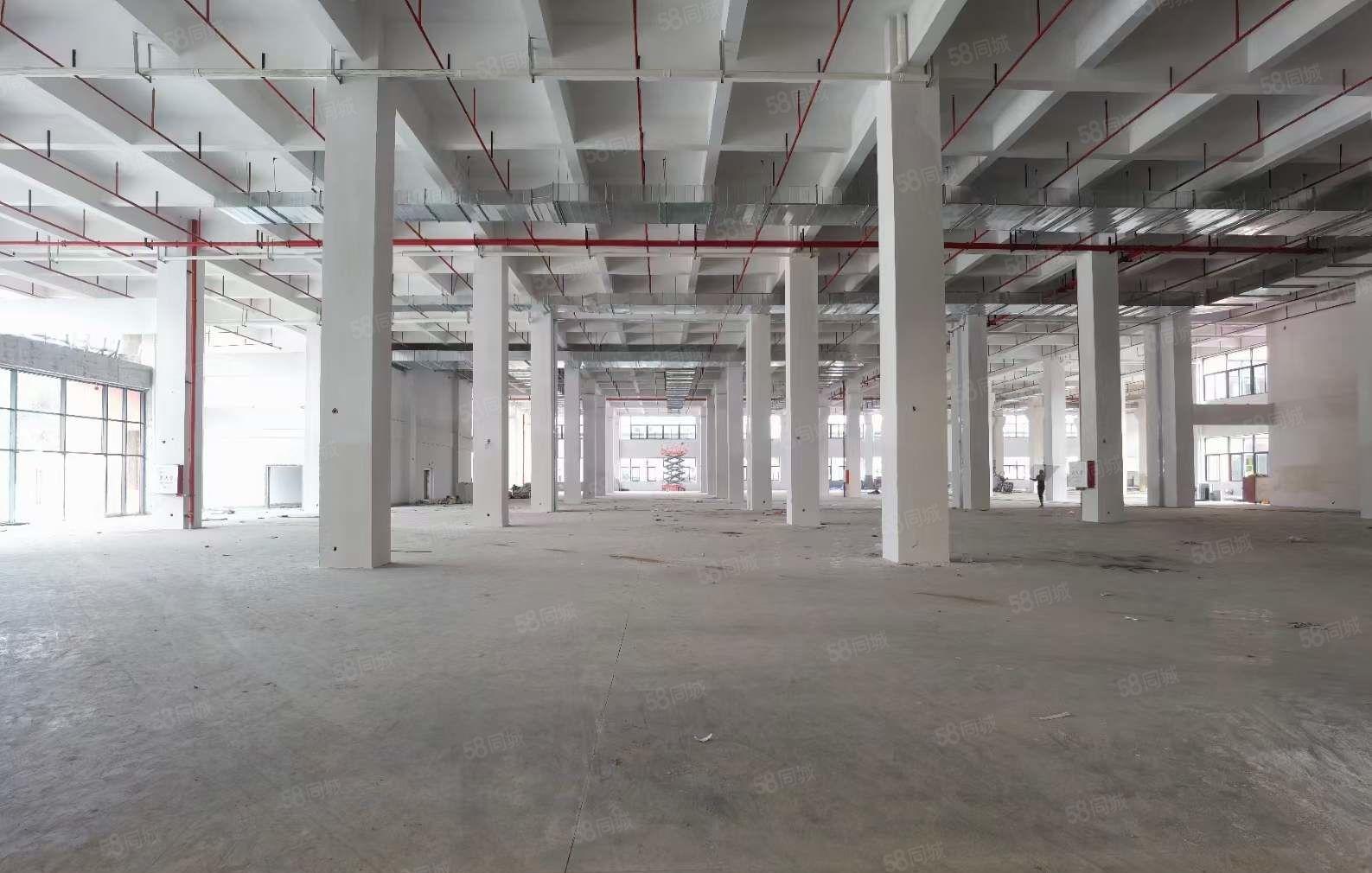 原房东急租 东莞樟洋区1280平方标准厂房 精装修 价格低