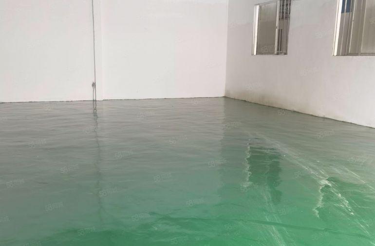 樟木头原房东一楼厂房出租300平方，带环评空地大，刚空出