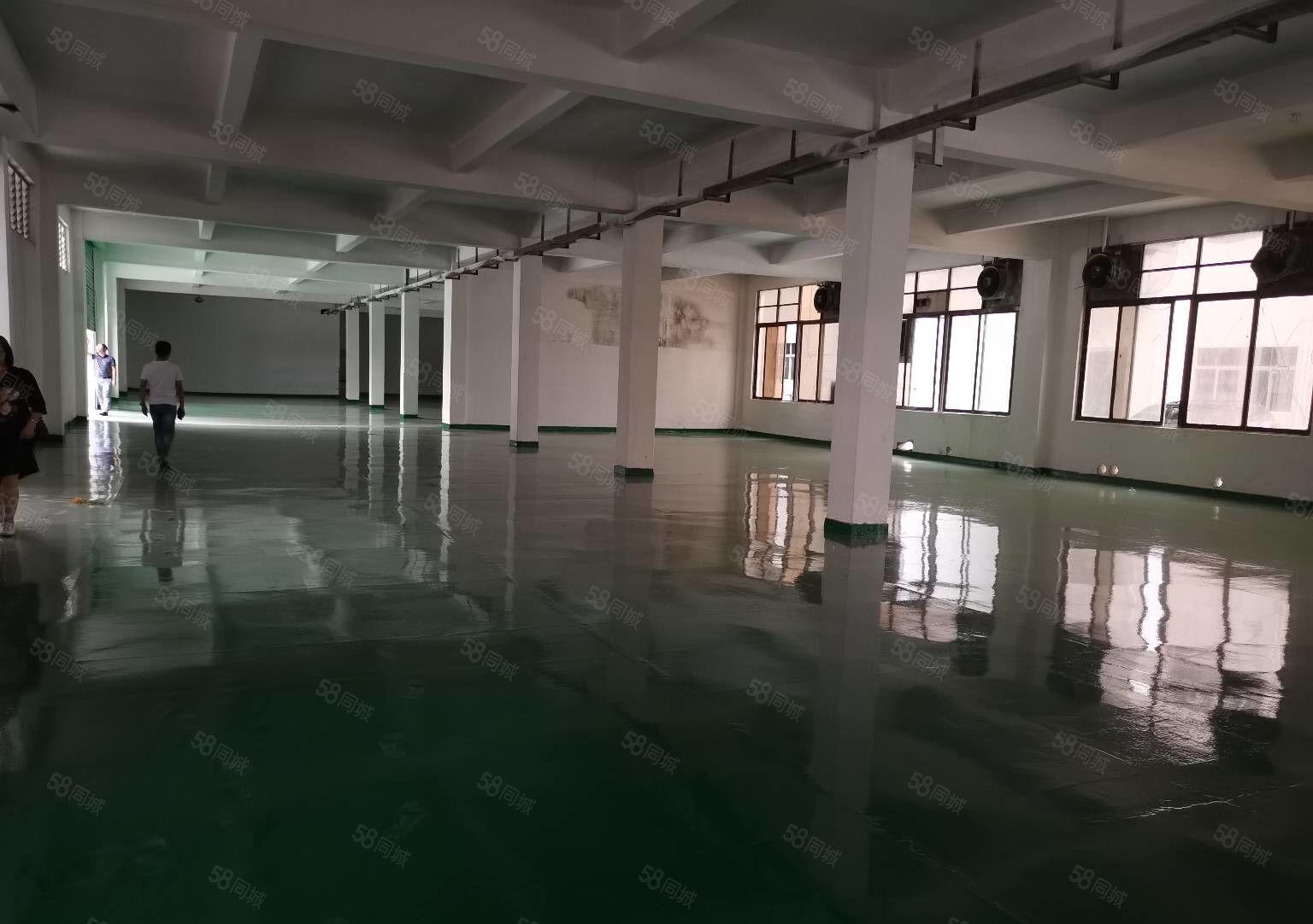 樟木头主干道旁成熟工业区标准一楼3000平厂房出租分租