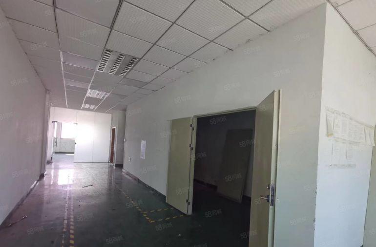 樟木头中心附近新空出一楼楼上各1000平方带办公装修低价便宜