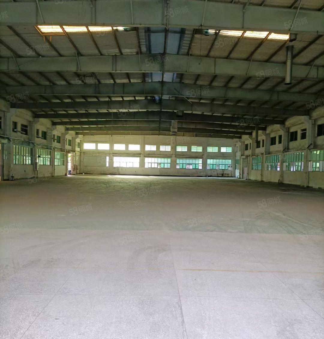 樟木头工业区新出4000平砖墙到顶钢结构厂房，可以分租