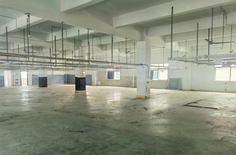 （带环评行车）樟木头原房东厂房出租一楼300平500可做电池