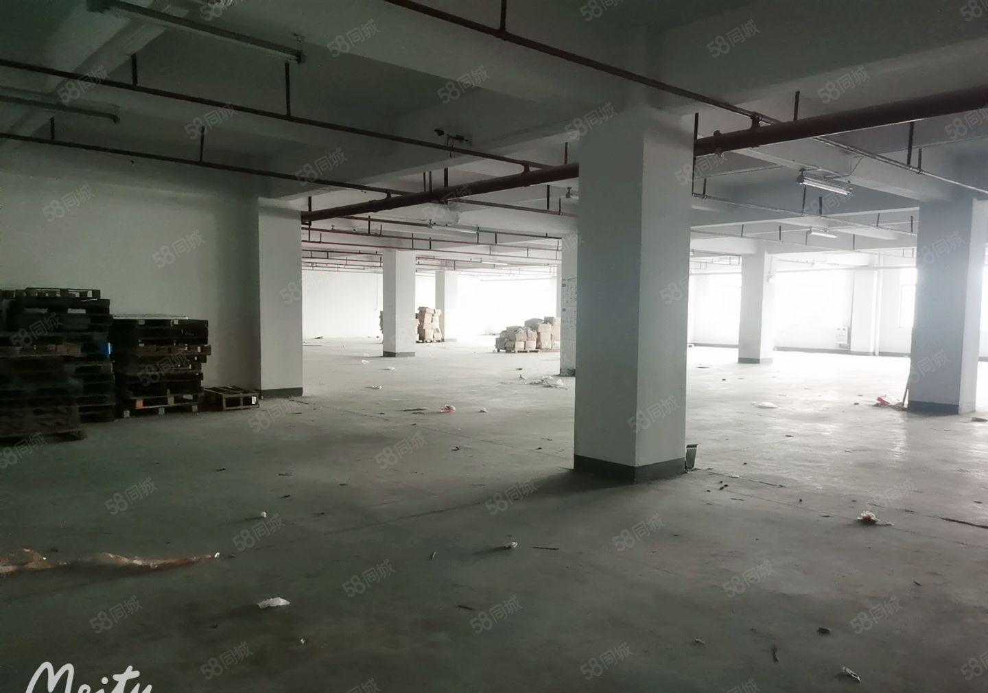 东莞樟木头原房东厂房出租1500平米无公摊园区形象佳空地大