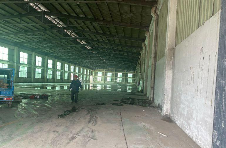 樟木头新出单一层9米高4000平方米，适合五金模具压铸家具