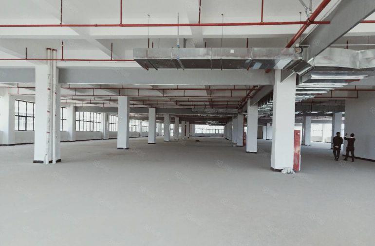 樟木头镇金河管理区全新红本标准厂房一层3450平方出租可分租