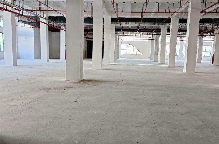 樟木头原房东全新厂房出租1800平方一楼水电齐全低价急租