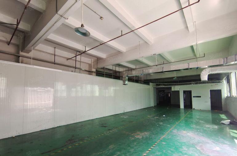 樟木头镇本地一手房东独院厂房出租5000平方工业用地注塑环评