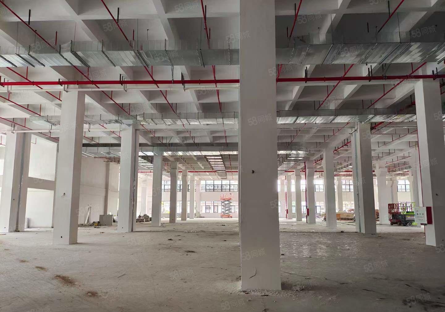 原房东急租 东莞樟洋区1280平方标准厂房 精装修 价格低