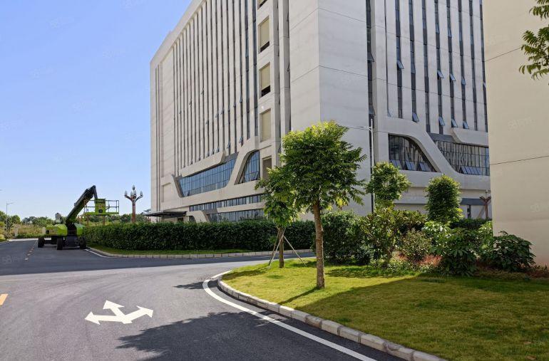 樟木头原房东全新厂房出租1800平方一楼水电齐全低价急租