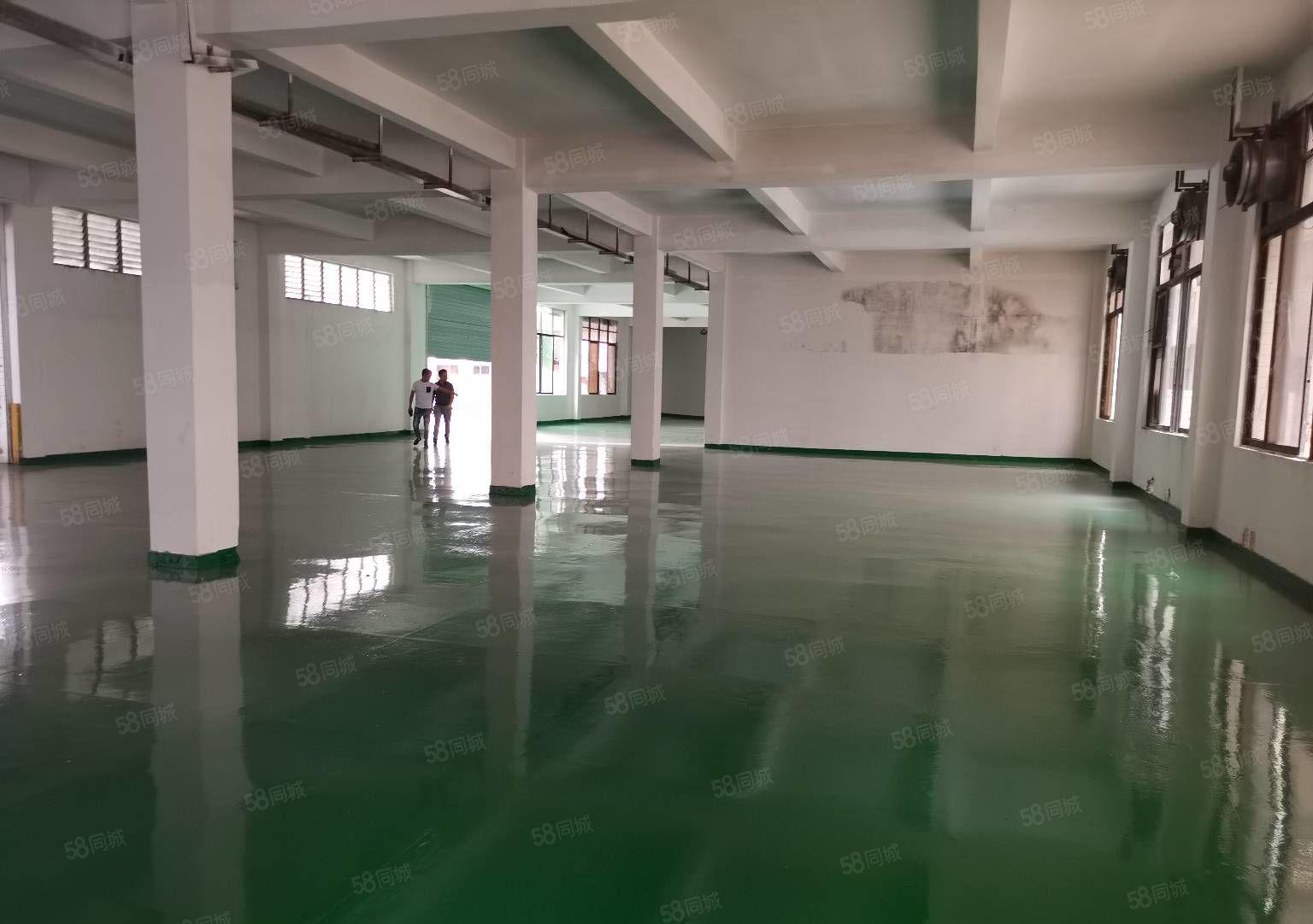 樟木头主干道旁成熟工业区标准一楼3000平厂房出租分租