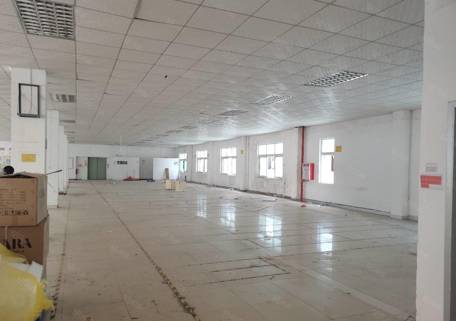 工业区厂房！樟木头楼上厂房1380平方招租