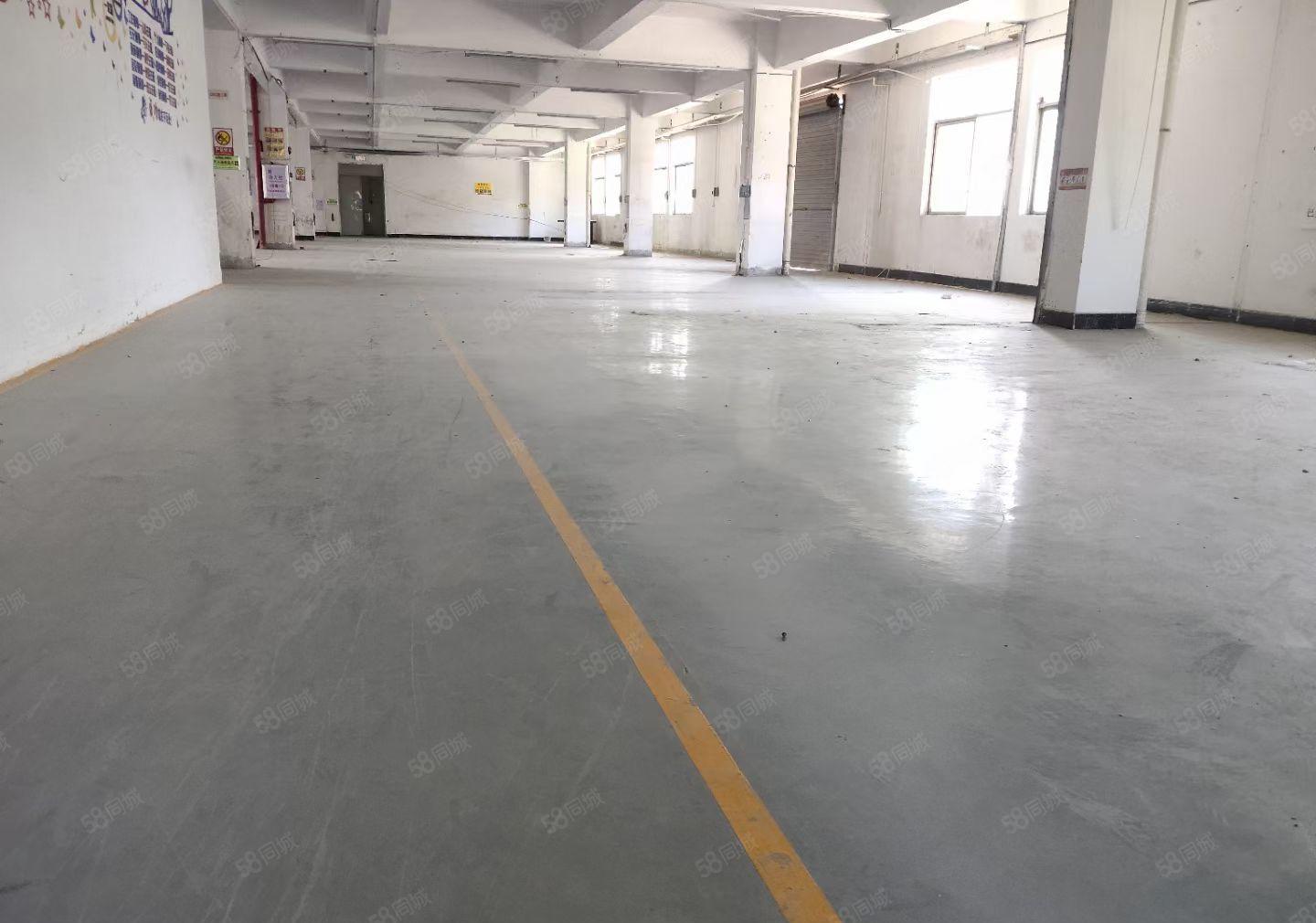 樟木头(10元）标准厂房1160平方，有现成办公室装修。