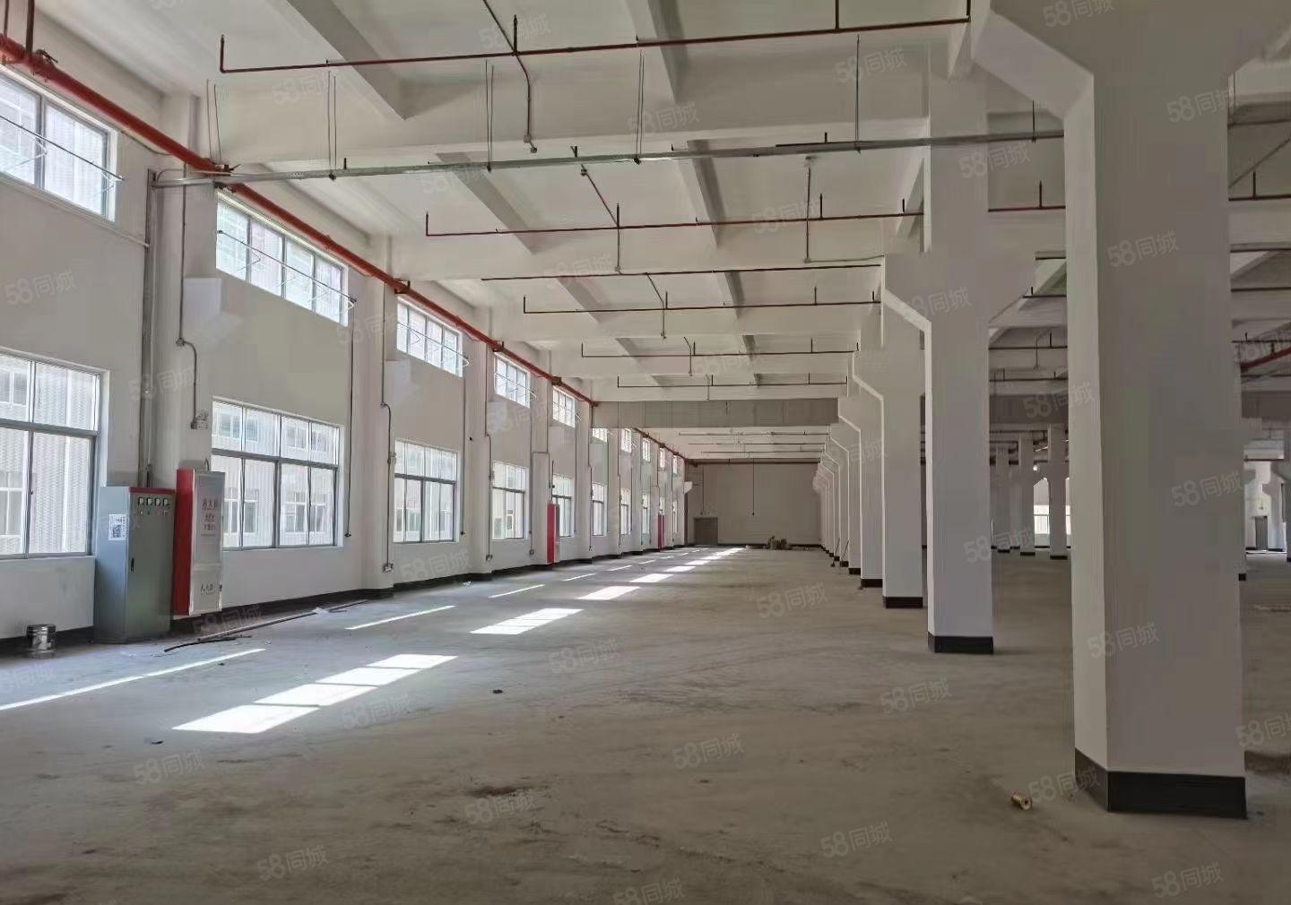 10元，特价10元樟木头原房东2楼厂房出租220平带装修地坪