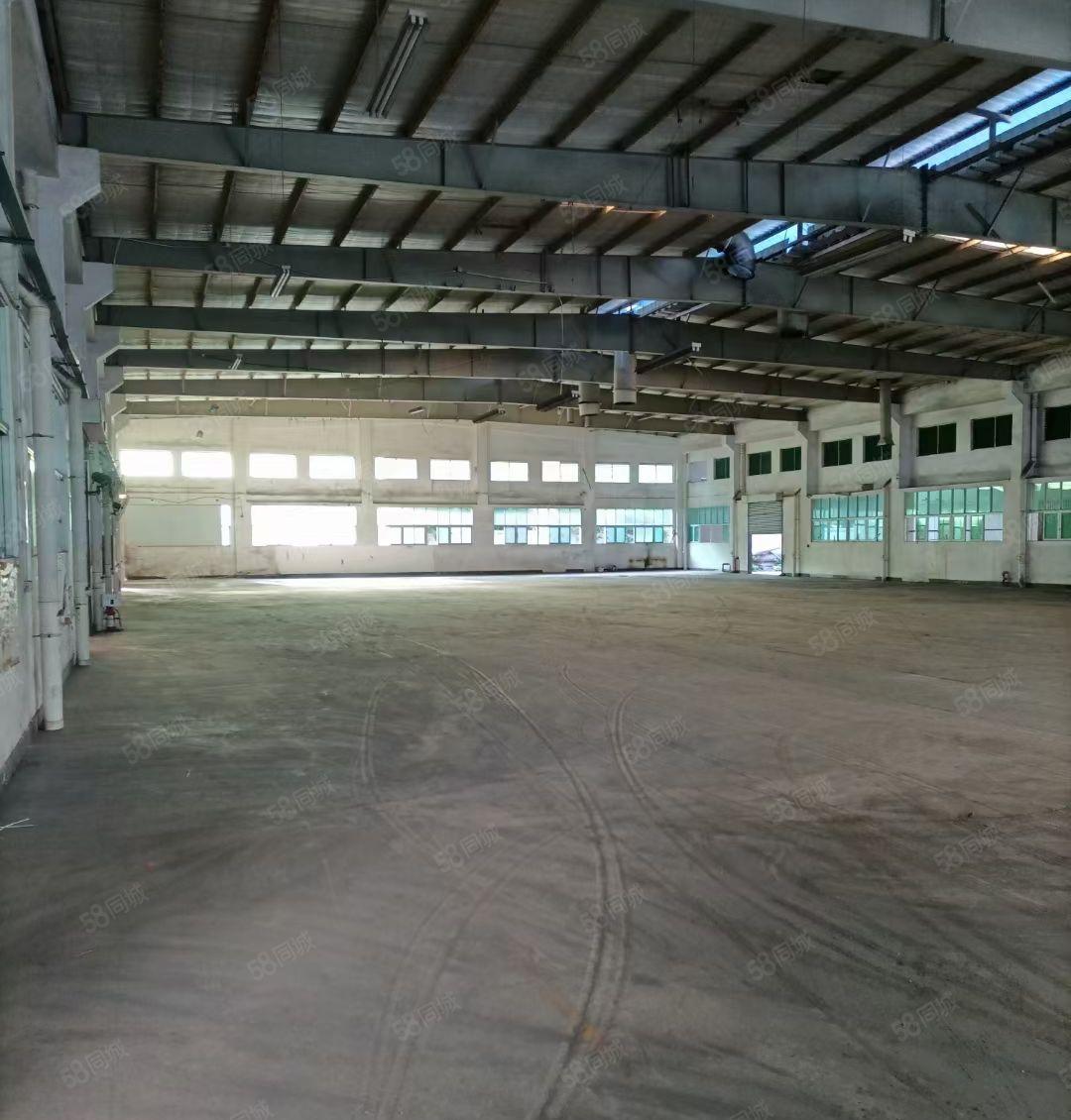 樟木头原房东独院厂房3600平方，砖墙到顶8米高，带现成装修