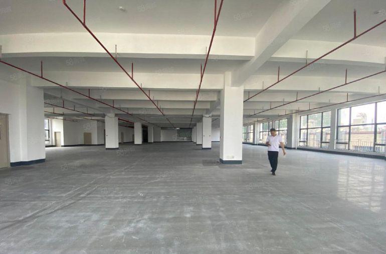 原房东13元500平起租樟木头桥头谢岗8000平厂房仓库招租