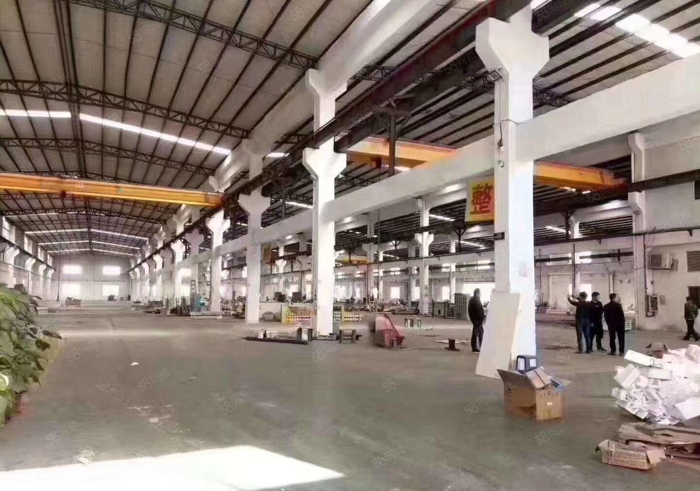 樟木头原房东独院厂房10000平方，实际面积