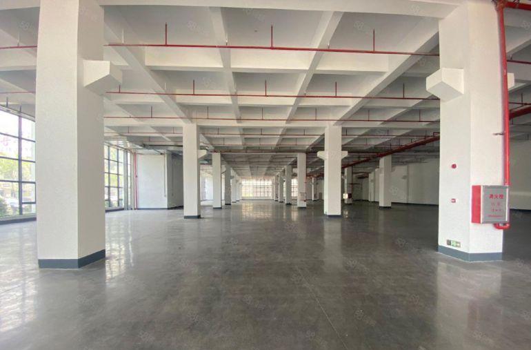 原房东13元500平起租樟木头桥头谢岗8000平厂房仓库招租