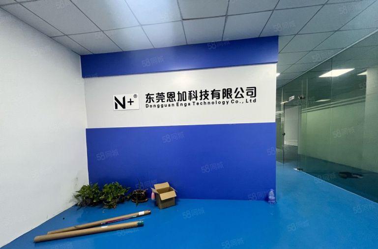 樟木头樟洋 银洋精装修300平 600平可做电池组装 10元