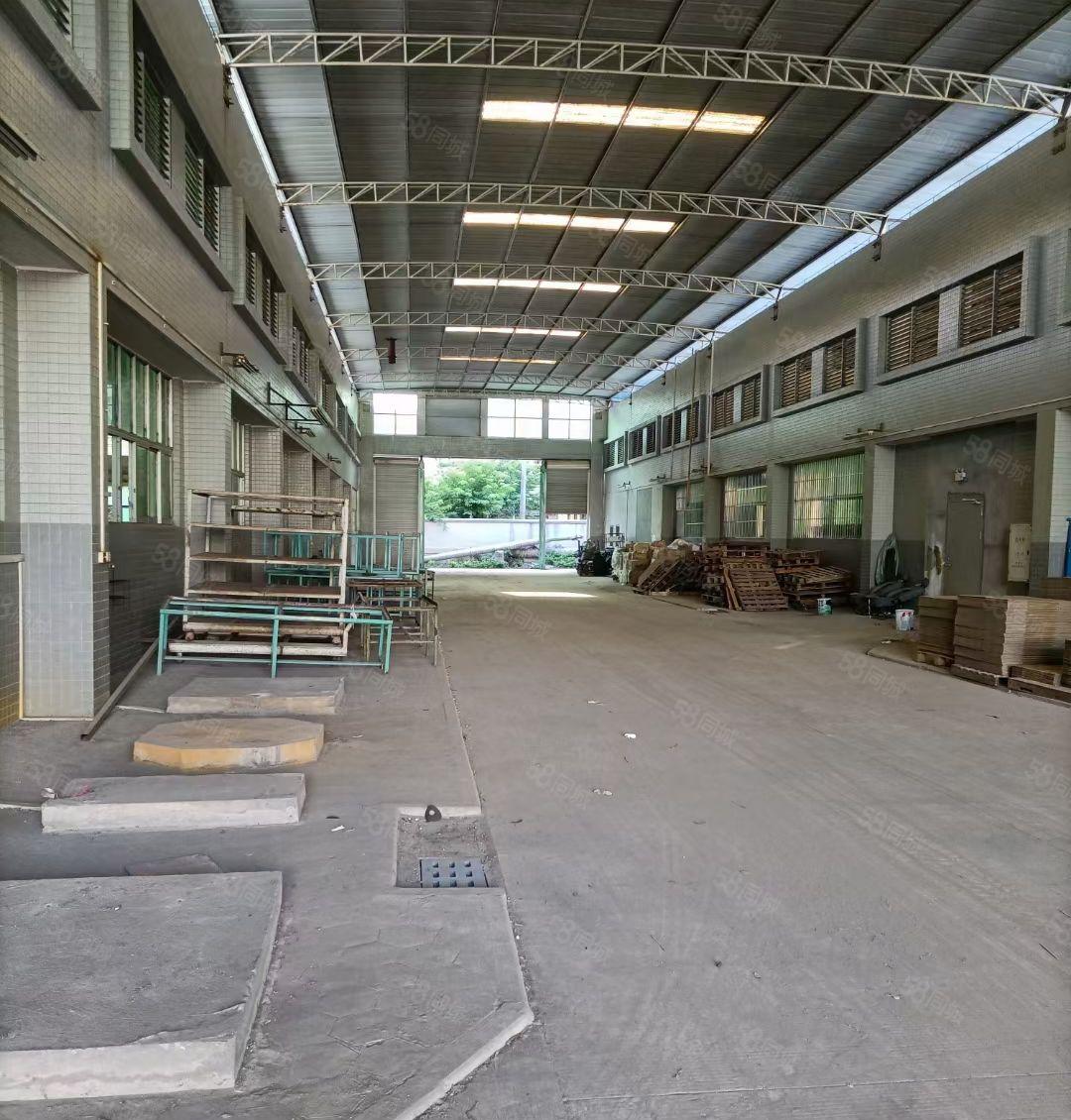 樟木头工业区新出4000平砖墙到顶钢结构厂房，可以分租