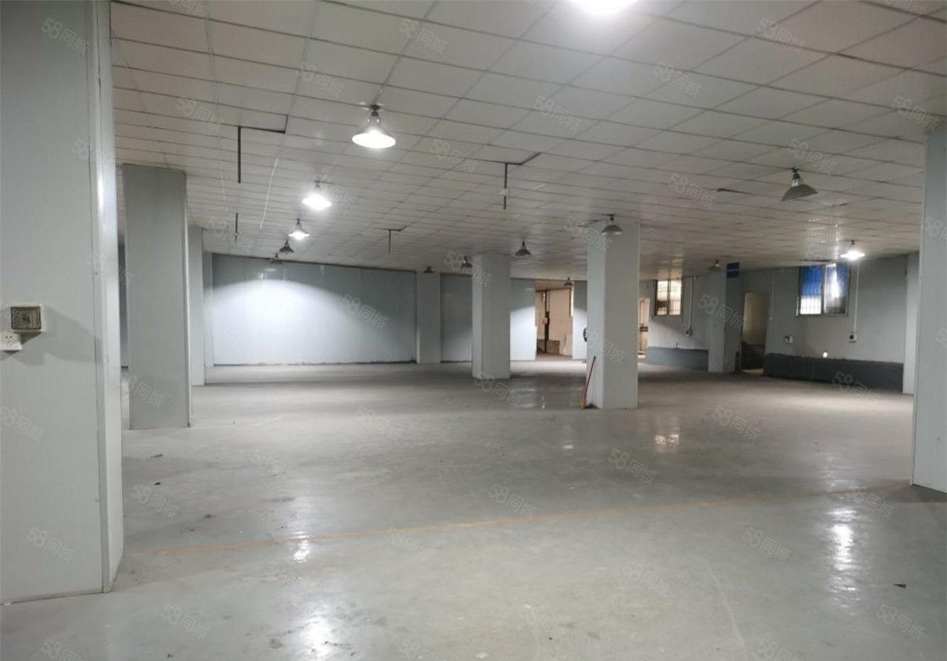 大朗一楼1000平方仓库厂房出租，工业用地适合多种行业易招工