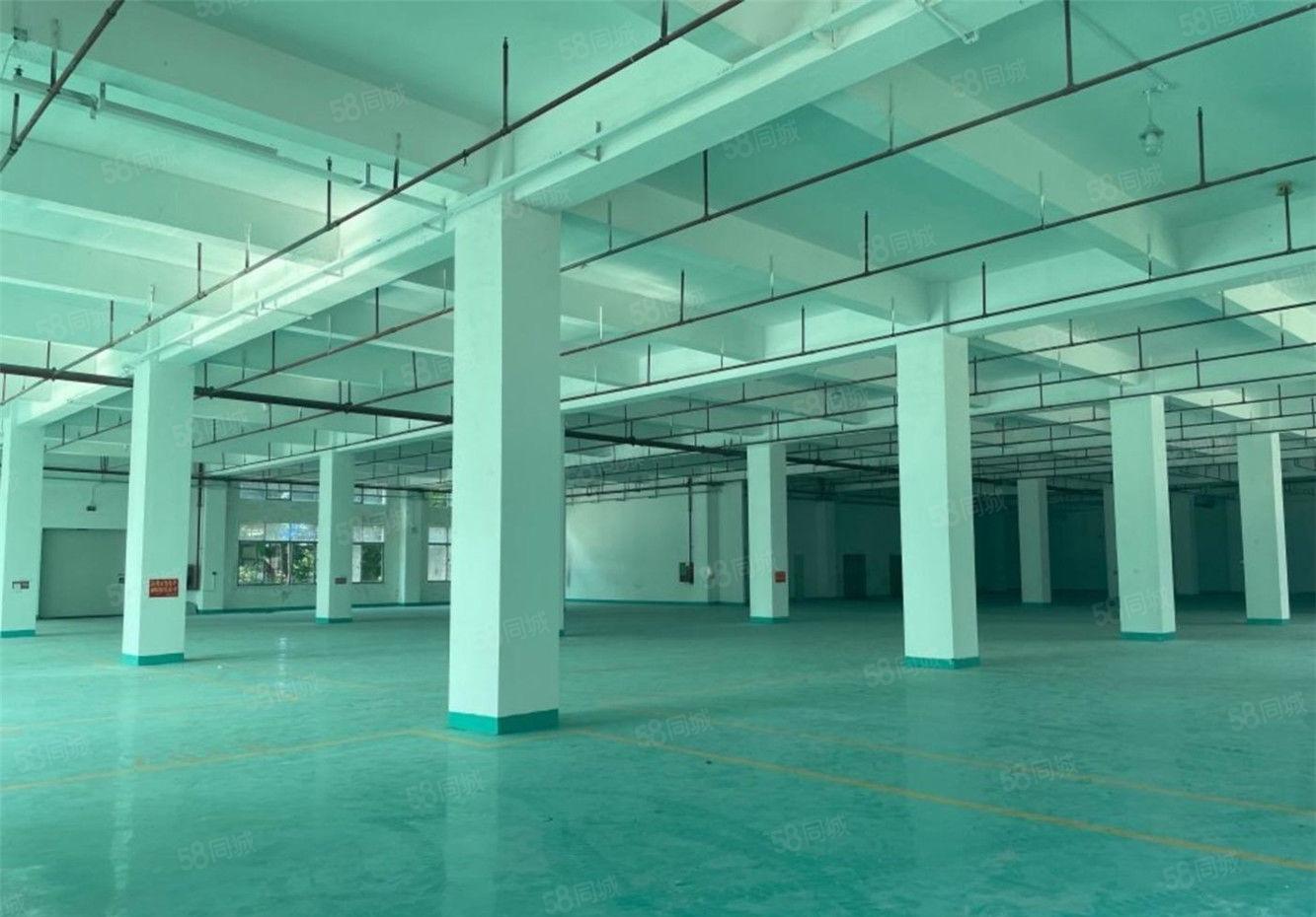 大朗仓库厂房出租2600方，高6米，工业用地不限行业交通便利