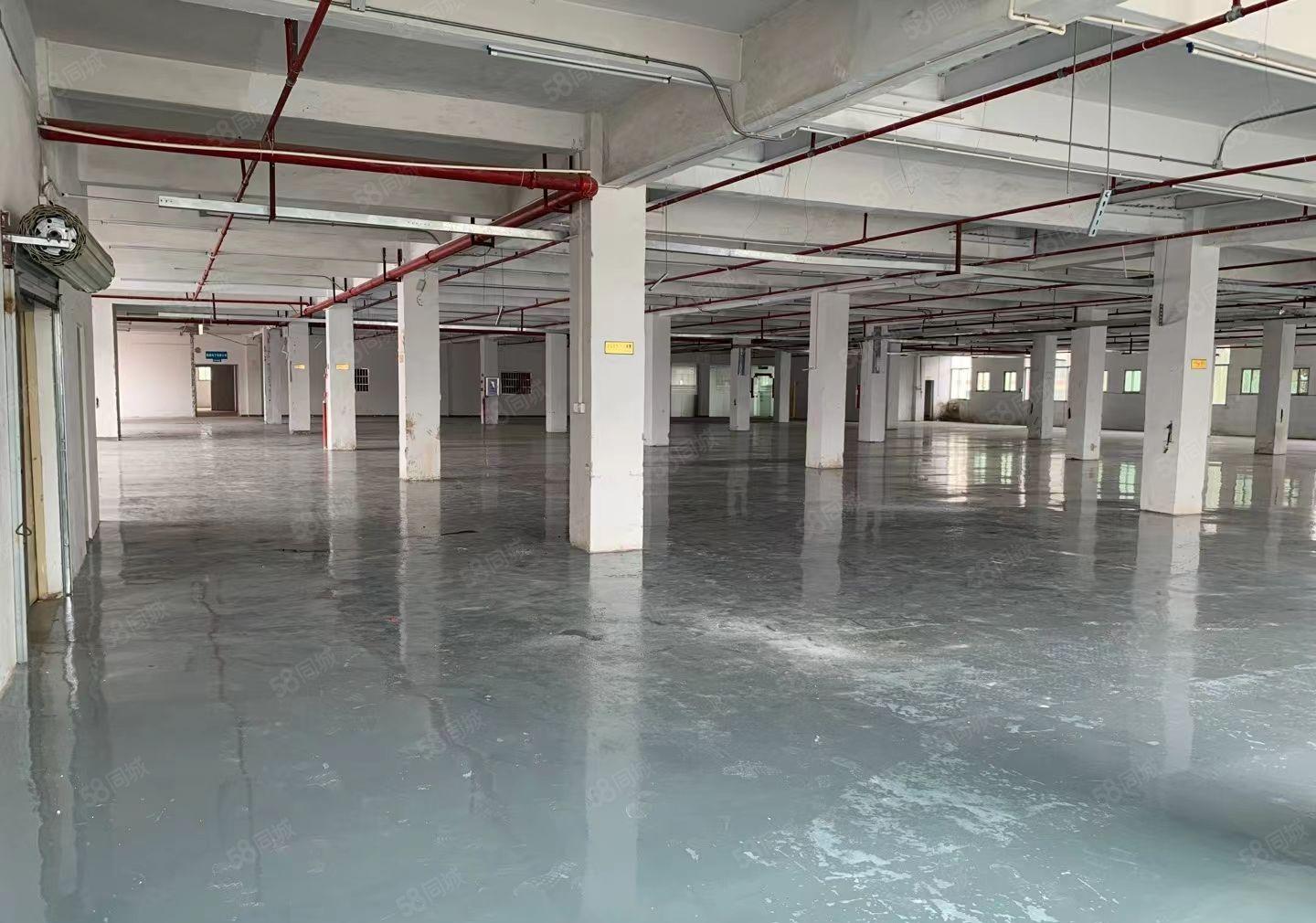 特价12元 大朗工业园区 可环评 500平起租 适合各行各业