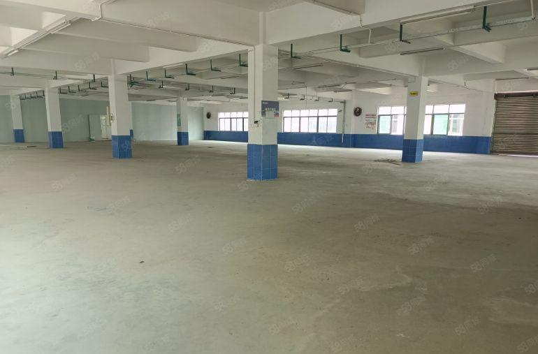 大朗洋坑塘全新重工业园区厂房楼上特价出租，现成精装修办公室