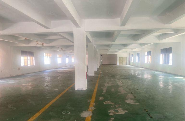 15块标准小独院3900平方，莞樟路边，格局方正形象佳