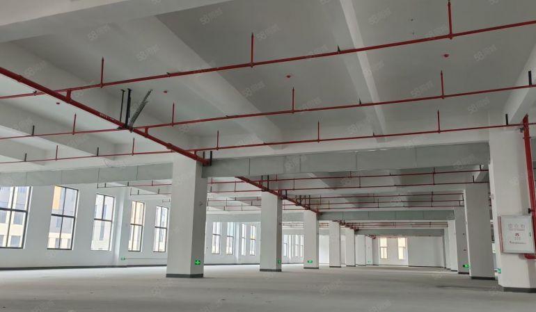 大朗新建重工业厂房，楼上承重1.52吨 带红本 形象好易招工