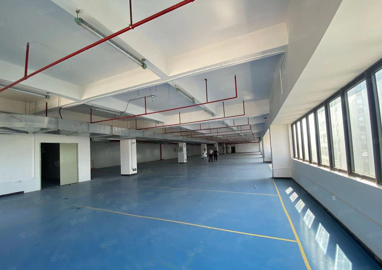 大朗高速路口旁新出五楼1000平厂房出租 水电齐全价格便宜