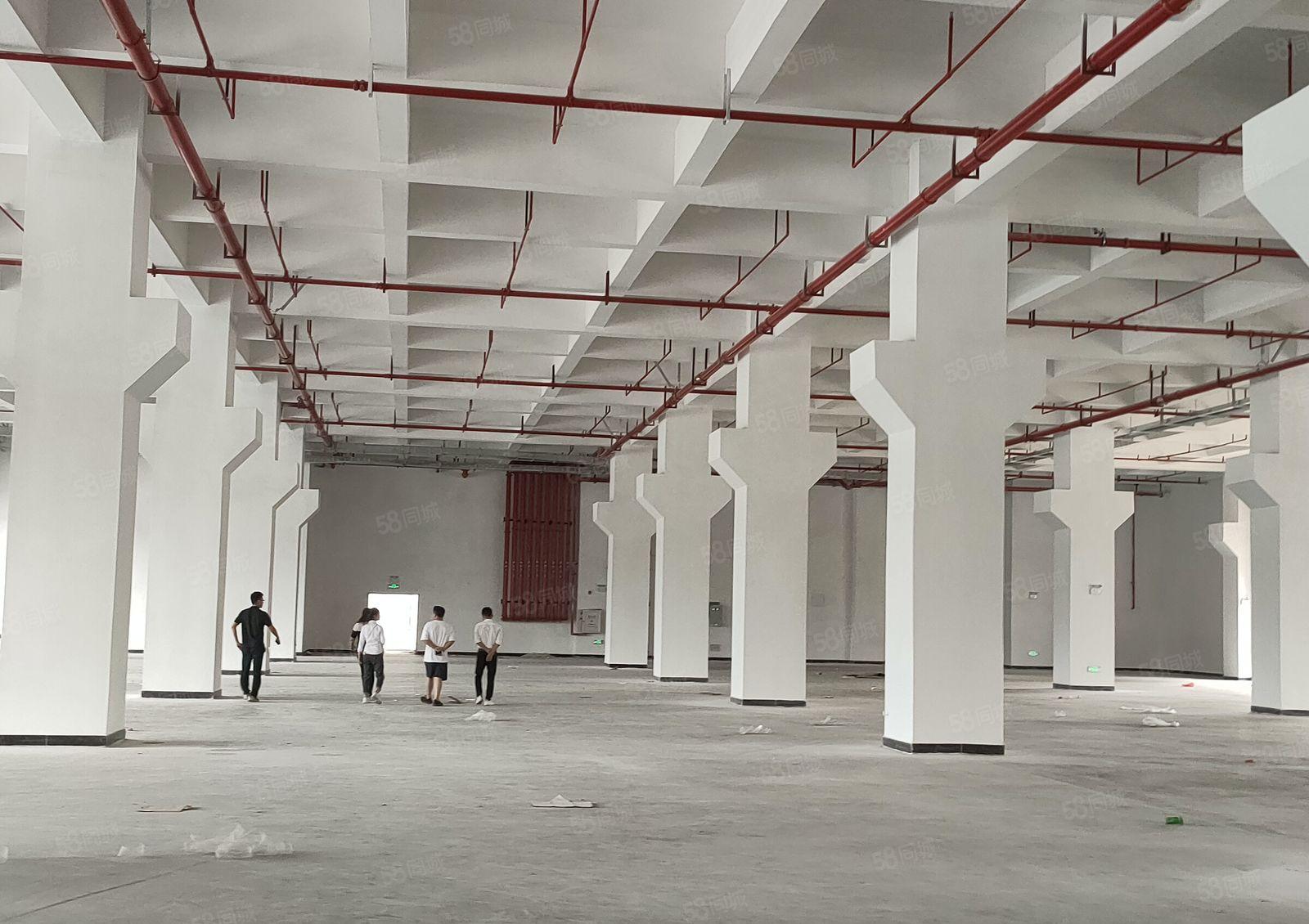 大朗原房空出3100平厂房，带现成精装修办公室，现低价出租