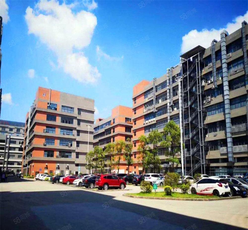 大朗工业园区厂房一楼带牛角2000平方，工业用地适合多种行业