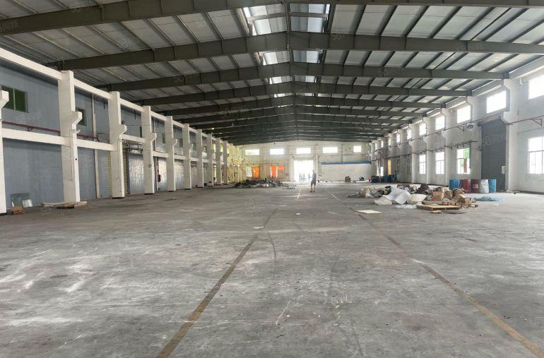 大朗台湾房东独院空地超大钢结构无柱子带隔热层独立办公室